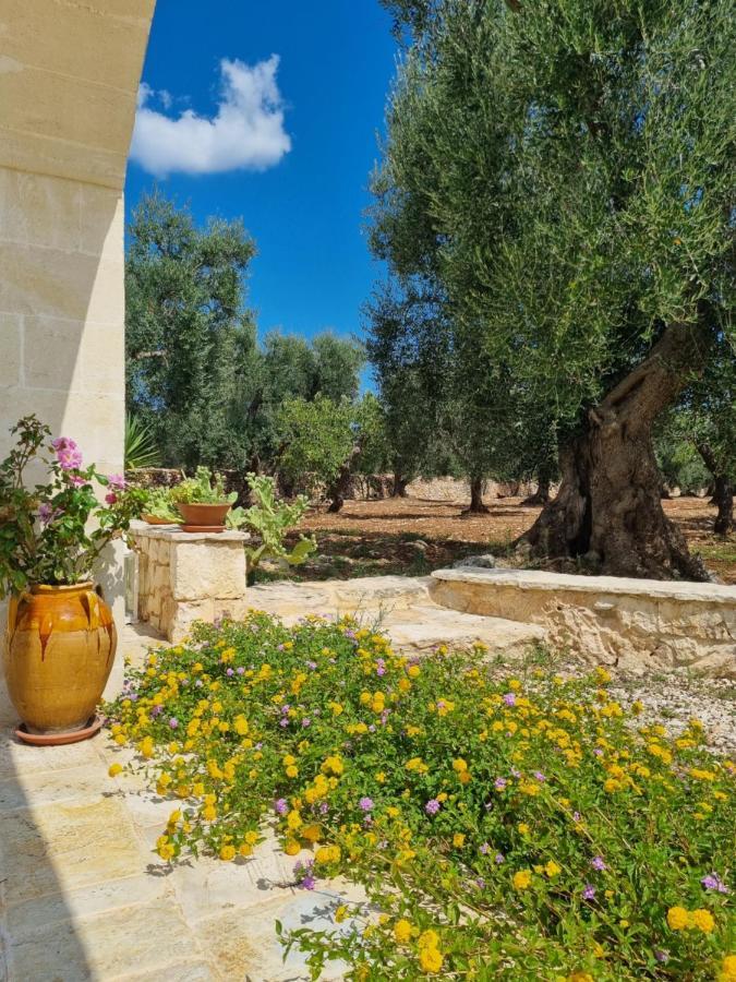 לינה וארוחת בוקר גרוטליה Trulli Di Spinaruta מראה חיצוני תמונה