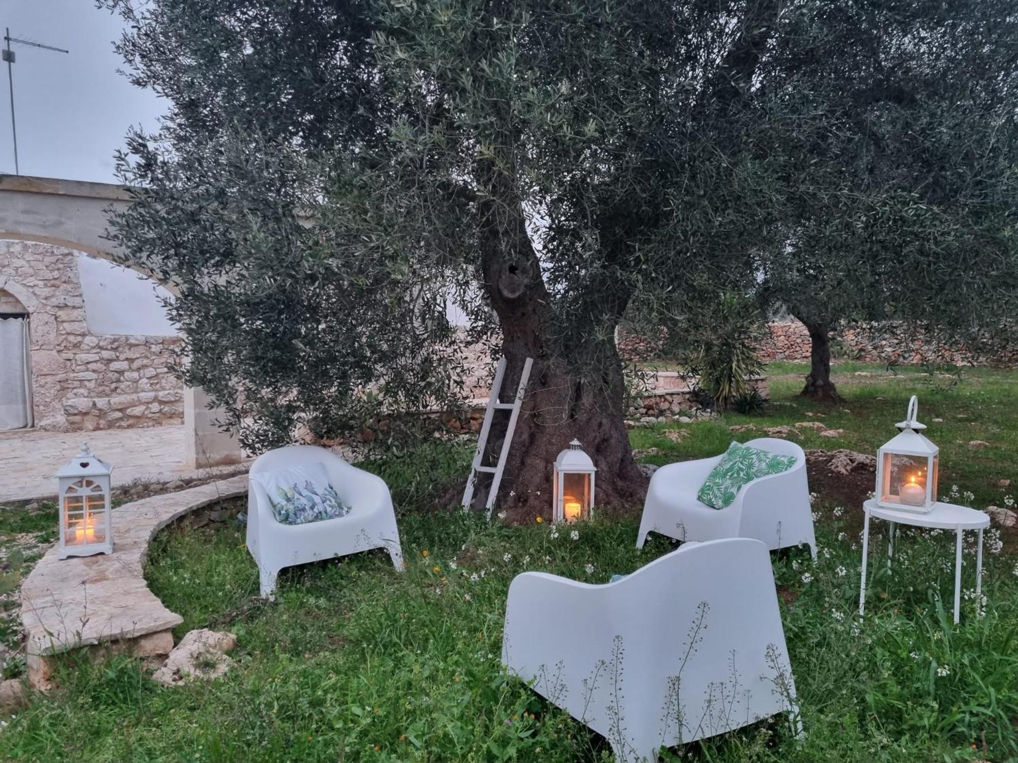 לינה וארוחת בוקר גרוטליה Trulli Di Spinaruta מראה חיצוני תמונה